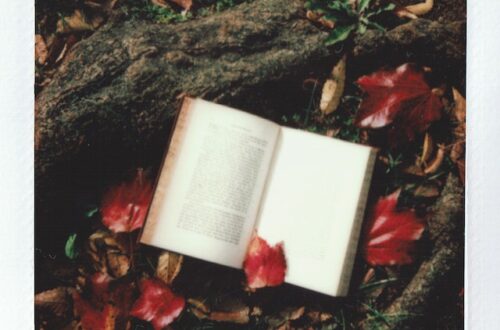 Open book surrounded by dry leaves