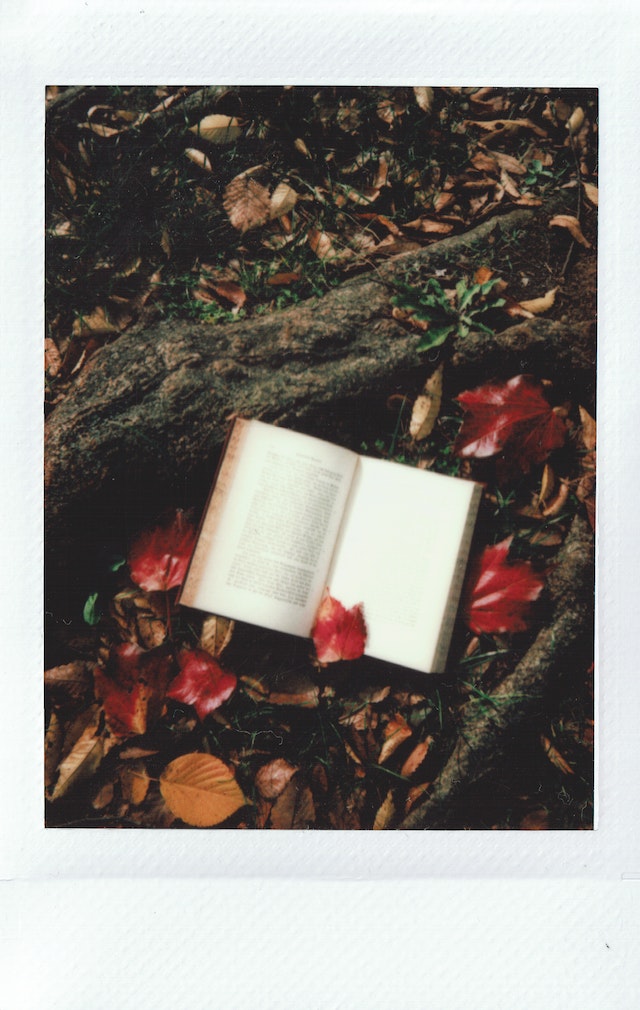 Open book surrounded by dry leaves